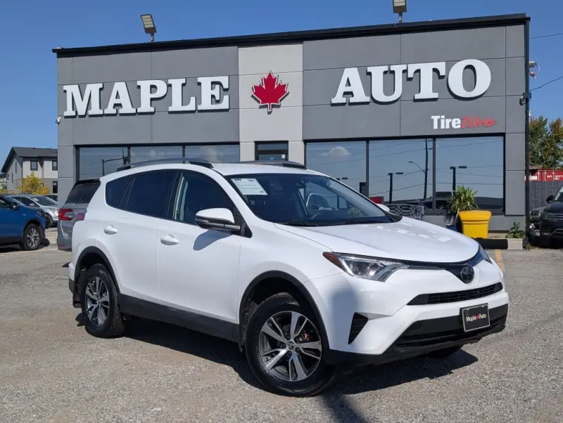 2018 Toyota RAV4 LE photo 1