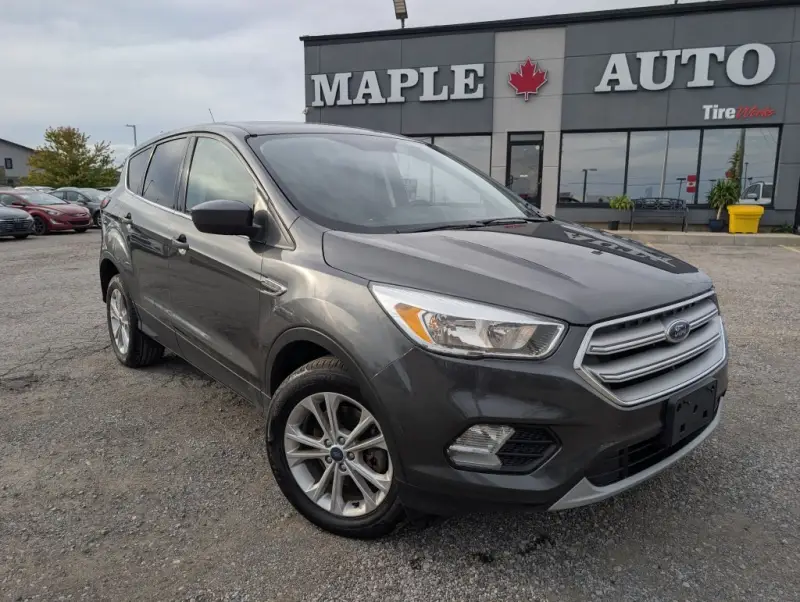 2019 Ford Escape SE 4WD photo 4